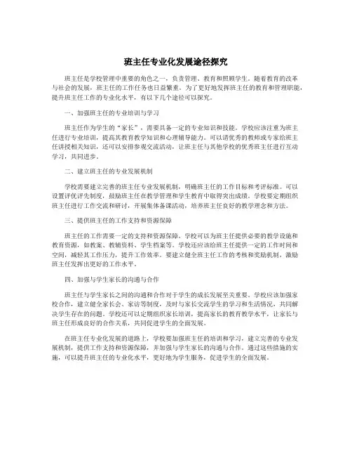 班主任专业化发展途径探究