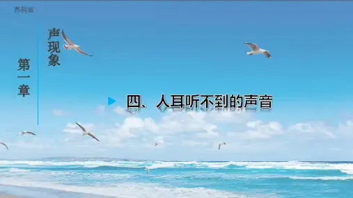 1.4 人耳听不到的声音 课件 (共27张PPT) 物理苏科版八年级上册