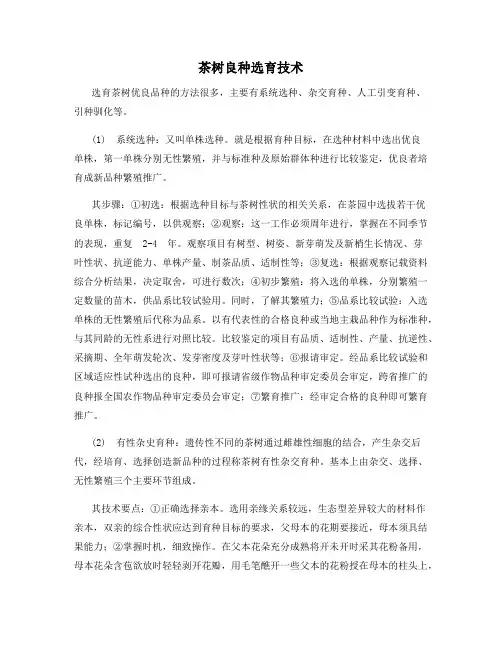 茶树良种选育技术