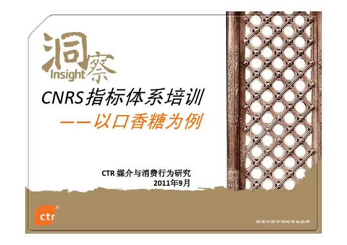 CNRS指标体系的应用培训
