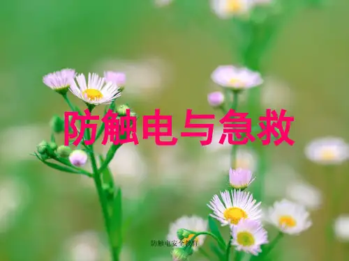 防触电安全教育课件