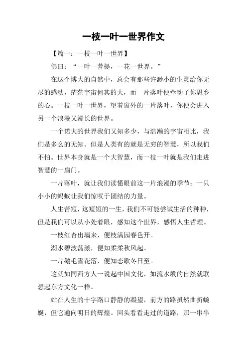 一枝一叶一世界作文