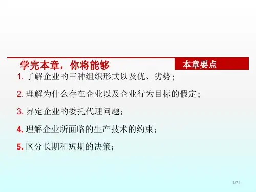 微观经济学ppt课件