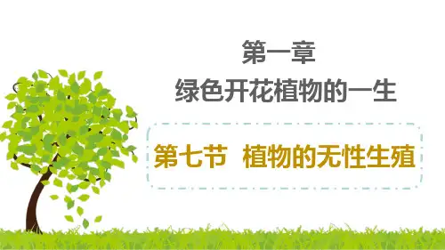第七节植物的无性生殖课件--2023-2024学年济南版八年级生物上册