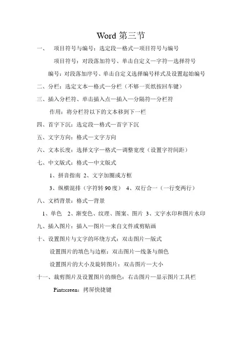 Word第三节