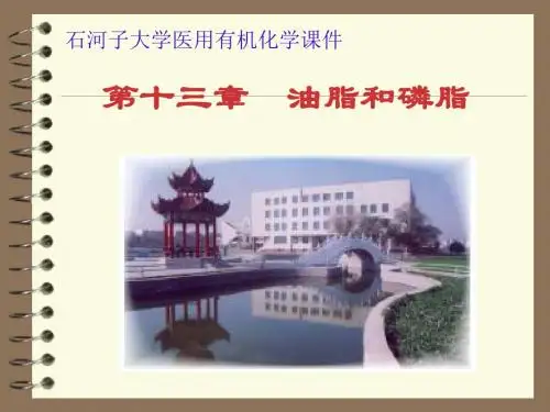 13第十三章 油脂和磷脂2
