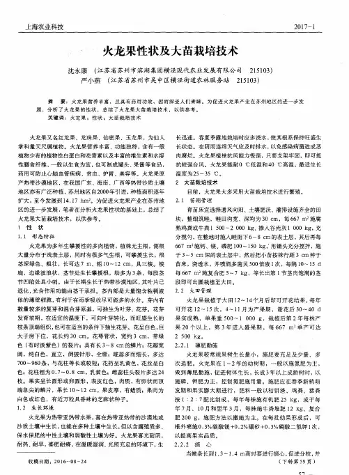 火龙果性状及大苗栽培技术