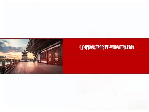 仔猪肠道营养与肠道健康