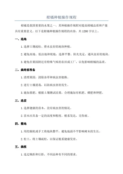 柑橘种植操作规程