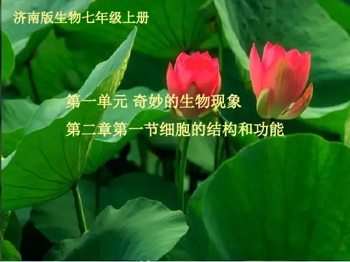济南课标版初中生物七年级上册第一单元第二章 第一节 细胞的结构和功能(共38张PPT)