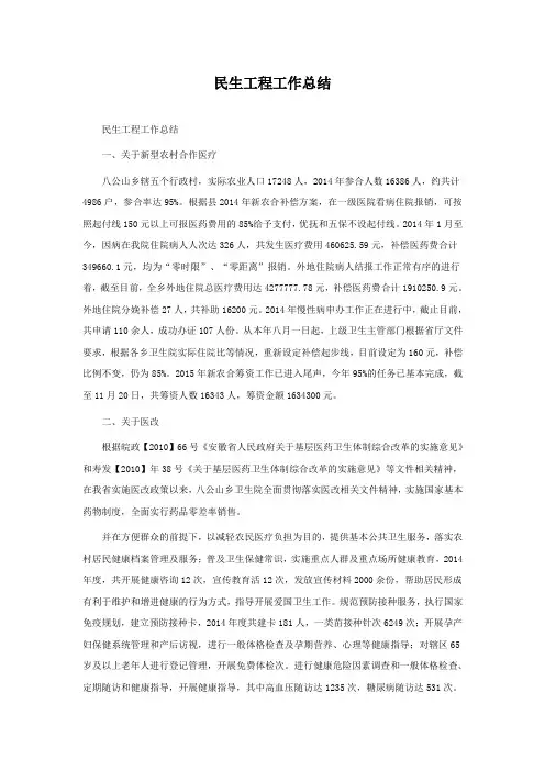 民生工程工作总结