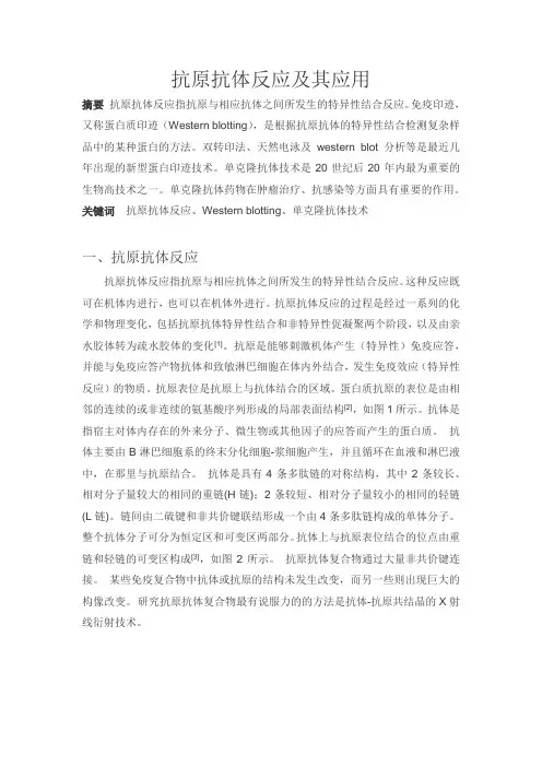 抗原抗体反应及其应用