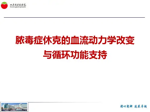 脓毒症休克血流动力学改变与循环支持