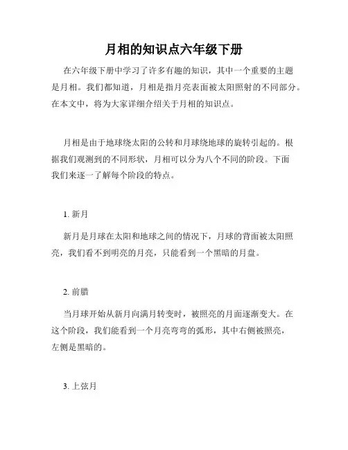 月相的知识点六年级下册