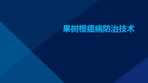 果树根癌病防治技术