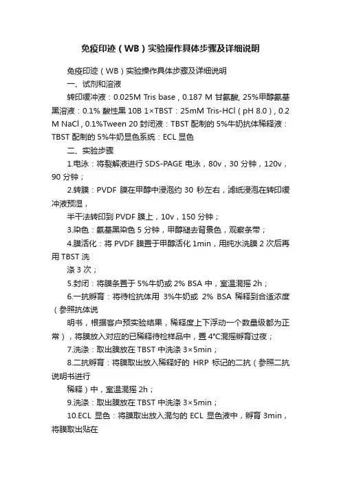 免疫印迹（WB）实验操作具体步骤及详细说明