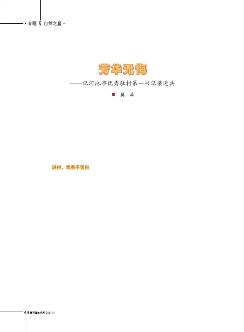 芳华无悔——记河池市优秀驻村第一书记梁进兵