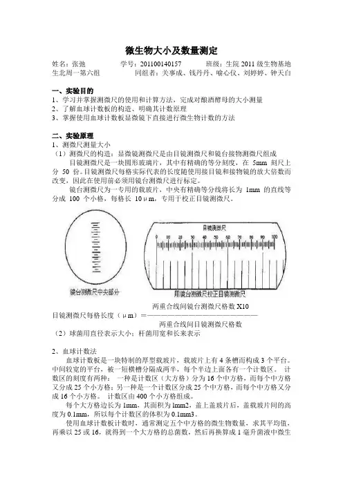 实验报告(8)