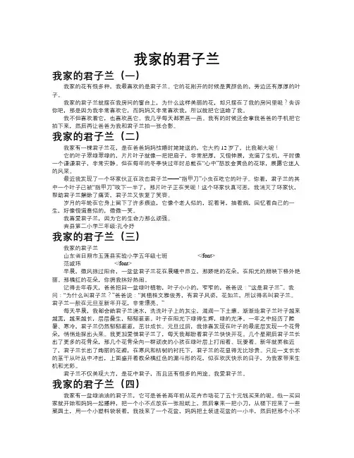 我家的君子兰作文共九篇