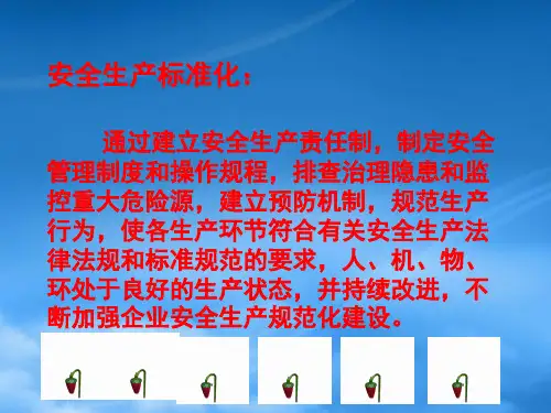 机械制造企业安全生产标准化基本要求讲议