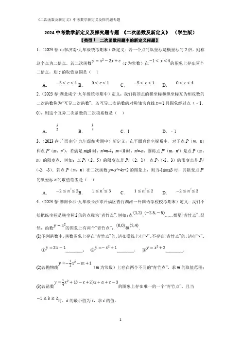 2024中考数学新定义及探究题专题 《二次函数及新定义》 (含解析)