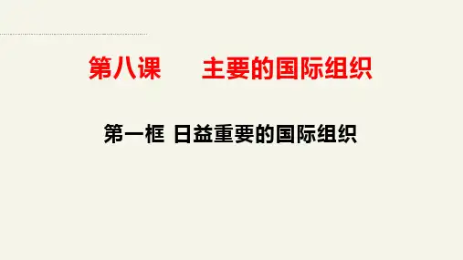 日益重要的国际组织(课件)高二政治课件(统编版选择性必修1)