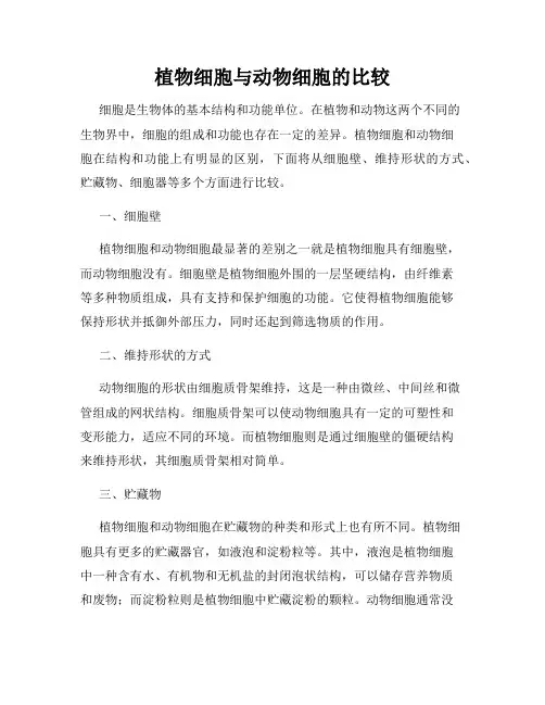 植物细胞与动物细胞的比较