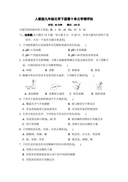 人教版九年级化学下册第十单元学情评估 附答案