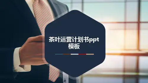 茶叶运营计划书ppt模板