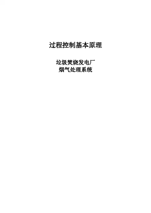 垃圾焚烧发电厂烟气处理系统