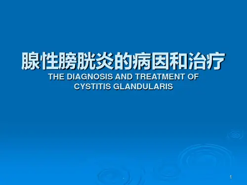 腺性膀胱炎pptppt课件