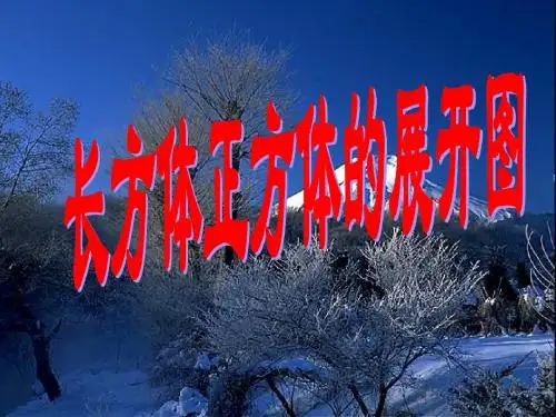 教案2：长方体、正方体的展开图及练习