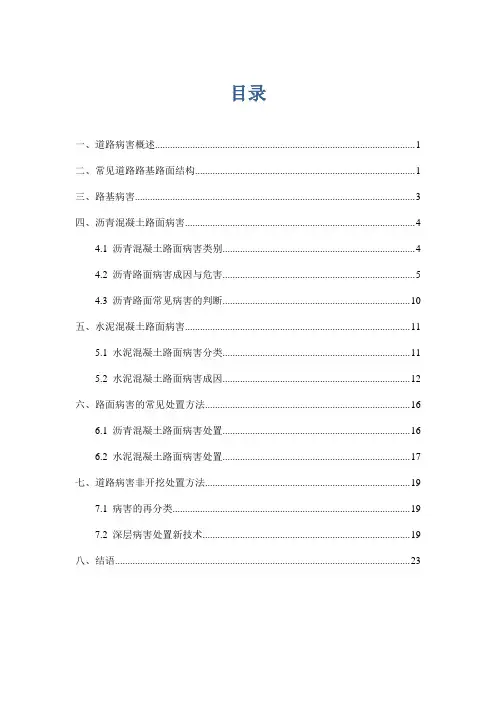 道路病害及其原因与处置方法
