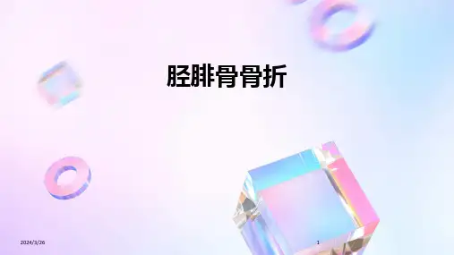 (2024年)胫腓骨骨折