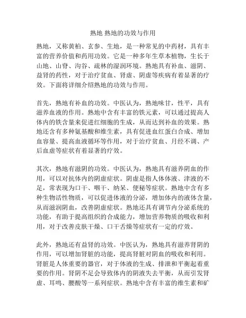 熟地 熟地的功效与作用