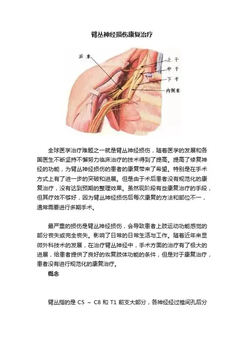 臂丛神经损伤康复治疗