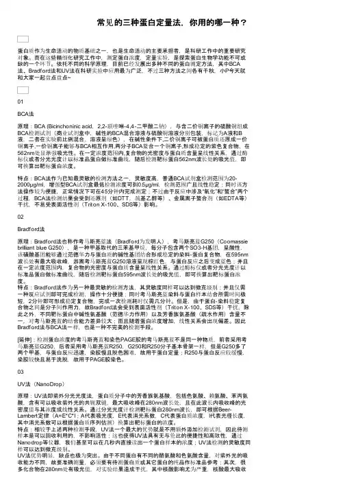 常见的三种蛋白定量法，你用的哪一种？