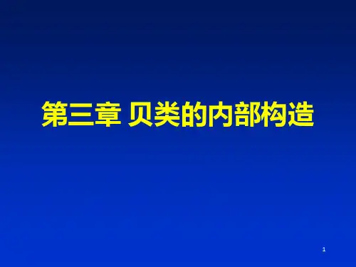 贝类学第3章-内部构造