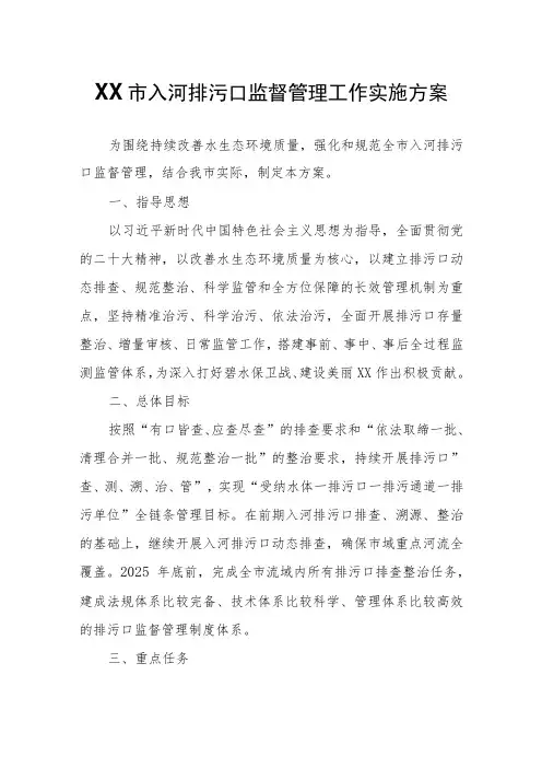 XX市入河排污口监督管理工作实施方案