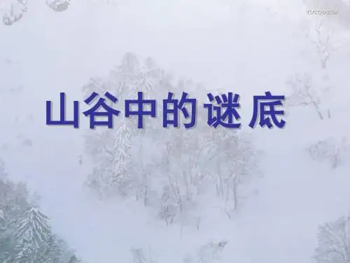 17、山谷中的谜底