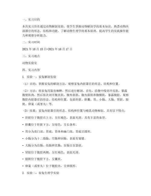 动物生理解剖实习报告