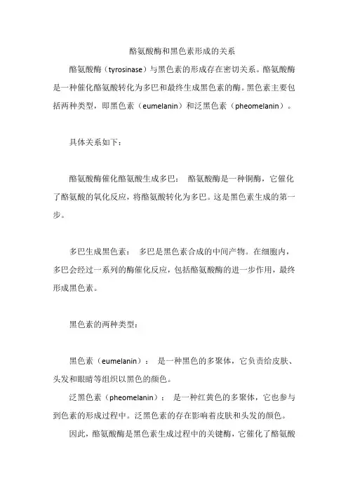 酪氨酸酶和黑色素形成的关系