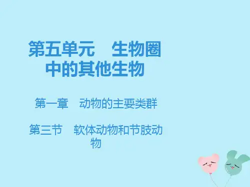 2019秋八年级生物上册第五单元生物圈中的其他生物第一章动物的主要类群第三节软体动物和节肢动物课件