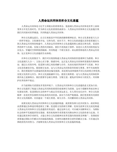 人类命运共同体的和合文化意蕴