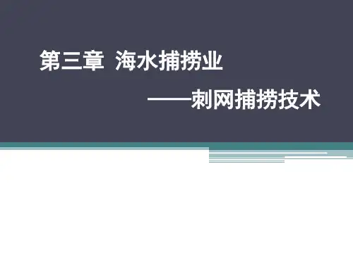 海洋捕捞业(刺网)