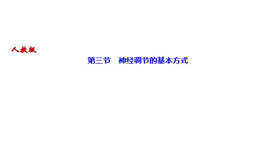 人教版七年级生物下册作业课件 第六章 人体生命活动的调节 第三节 神经调节的基本方式 (2)