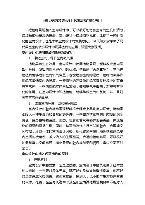 现代室内装饰设计中观赏植物的应用