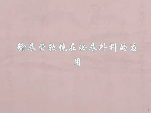 输尿管软镜ppt课件