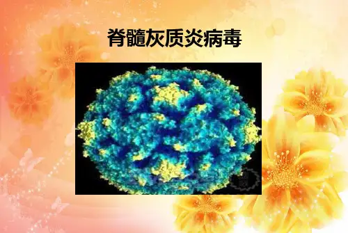 脊髓灰质炎病毒ppt课件