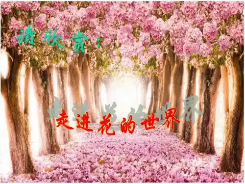 开花和结果(讲课课件)